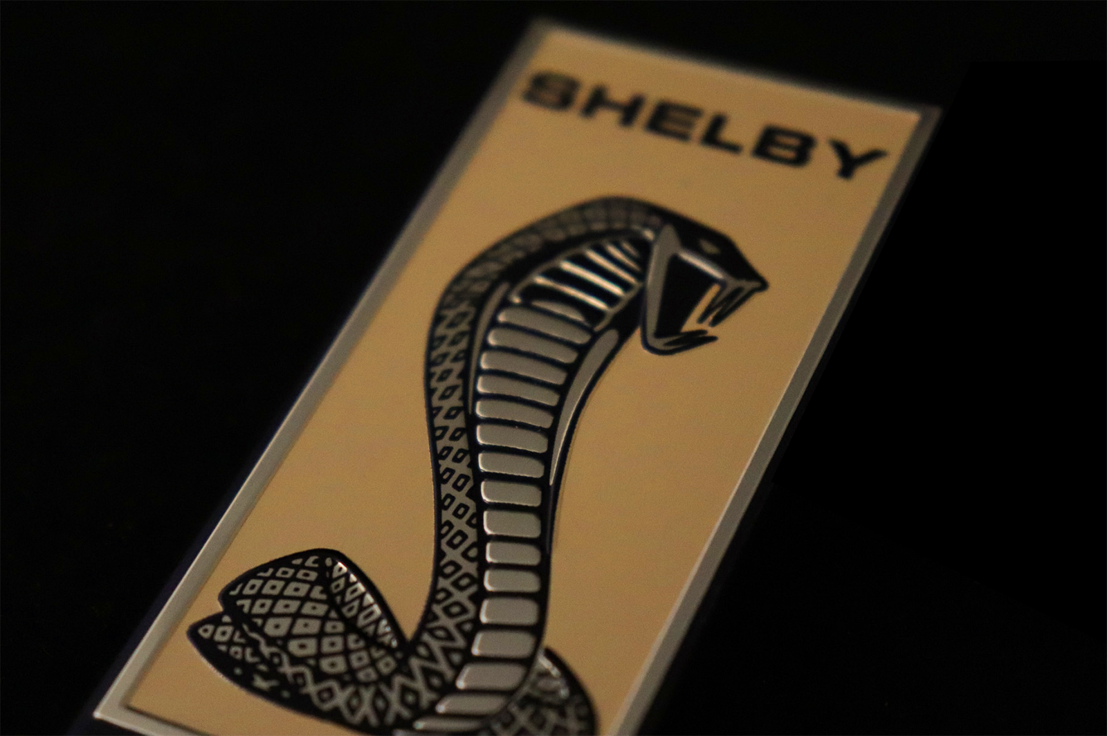 Shelby